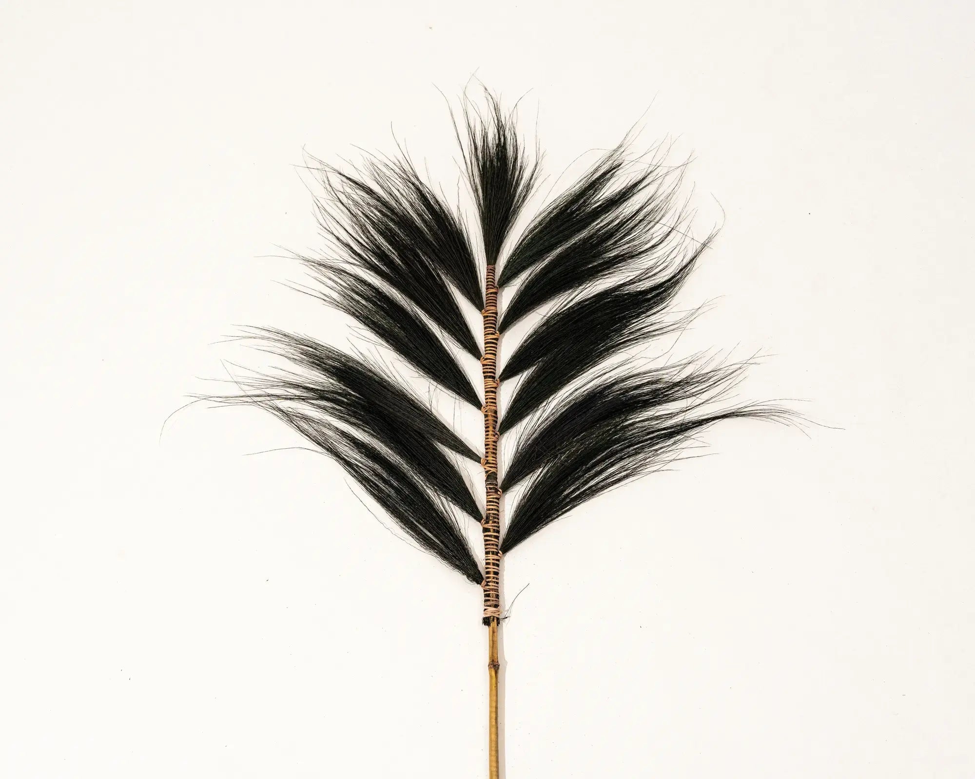 Dried Rayung Pampa Grass Décor (black)