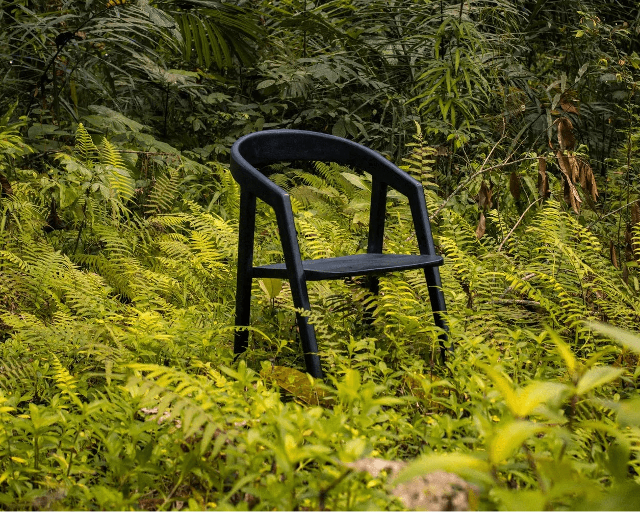 Burnt wood (black)