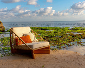 Light Brown cushions